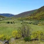 El valle de Pineda y el pozo Curavacas / Puerto de San Glorio